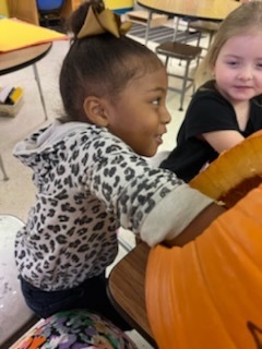 Pumpkin Carving