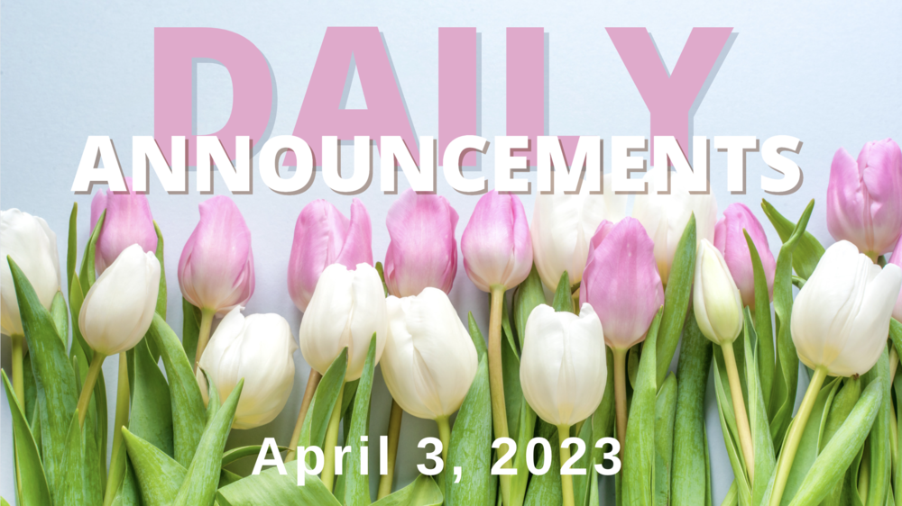 Daily Announcement Banner