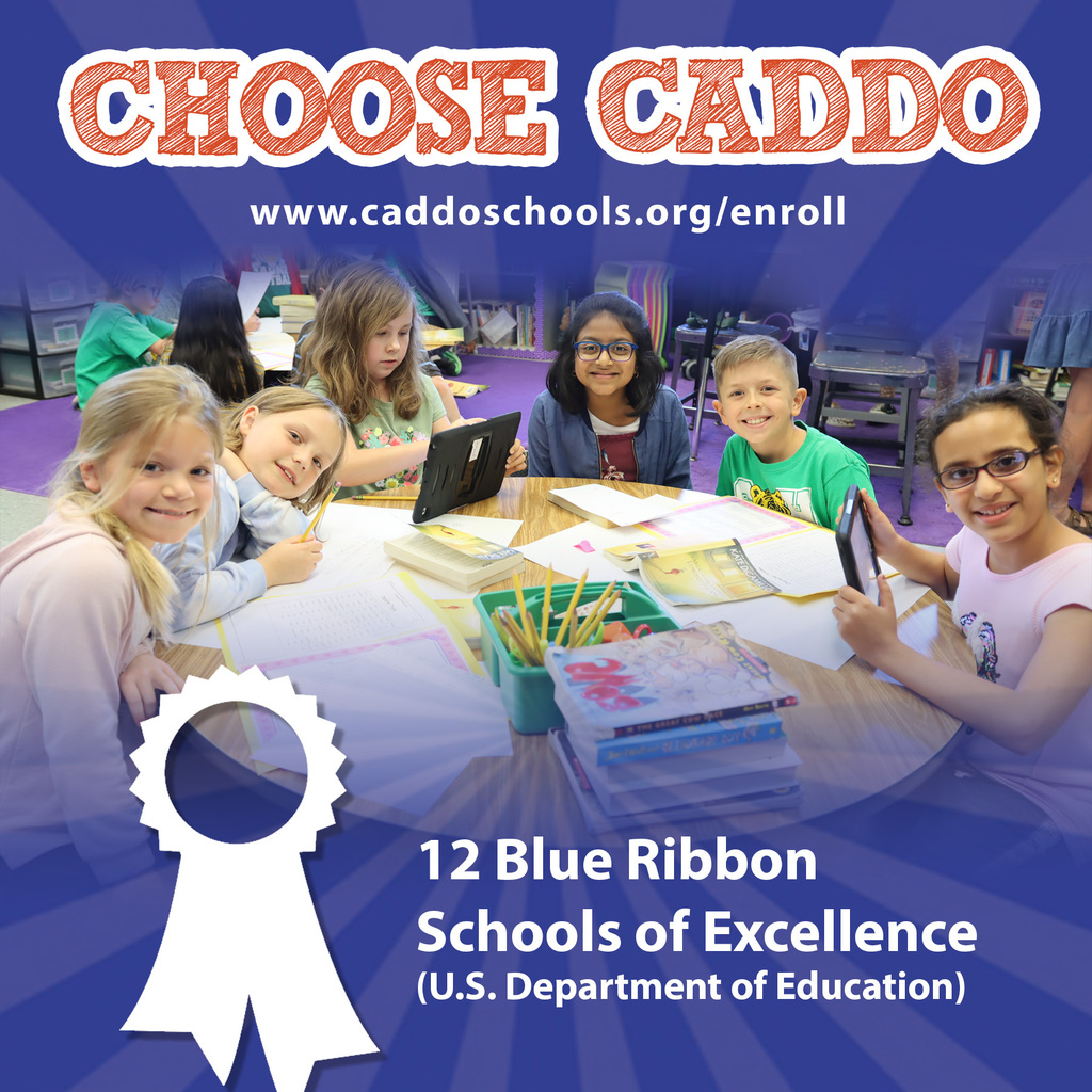 12 Blue Ribbon Schools of Excellence